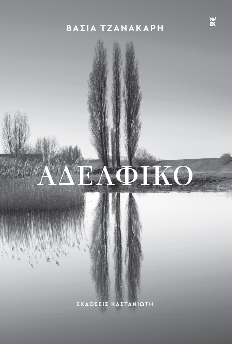 Αδελφικό - Βάσια Τζανακάρη - Diavazo Greek Books