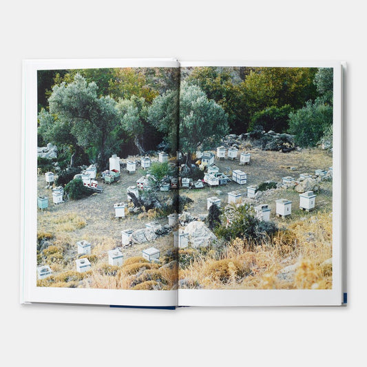 Greece:The Cookbook – Vefa Alexiadou - Diavazo Greek Books