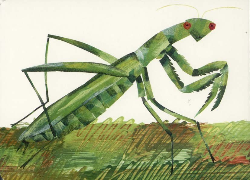 Ένας γρύλος πολύ σιωπηλός - Eric Carle - Diavazo Greek Books